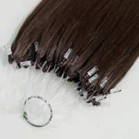 Neuer Stil H6 Russische Echthaarverlängerung, doppelt gezogen, Großhandel, gefärbt, individuelle Farbe, seidig glatt, Remy Micro-Loop Federn