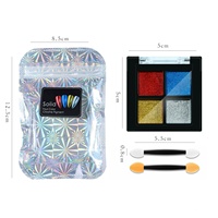Poudre solide d'art d'ongle holographique avec des brosses d'éponge Pigment effet miroir flocons de paillettes d'ongle bricolage décor d'art d'ongle