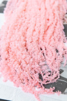 Vente en gros de glycines blanchies et conservées, fleurs suspendues, décoration de fête, Noël, Saint-Valentin, remise de diplôme, fleurs séchées disponibles