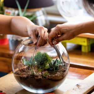Kit di Manutenzione per Terrari Fai-da-Te, Set di Attrezzi in Acciaio Inox per Piante Succulente e Muschio, Strumenti per Giardinaggio Indoor - Product Image 3