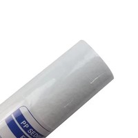 Filtre purificateur d'eau 10 pouces 5 microns PP Cartouche filtrante à sédiments pour l'eau