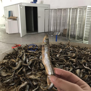 Séchoir à pompe à chaleur intégré à prix bas pour viande séchée, noix de coco et fruits de mer - Product Image 2