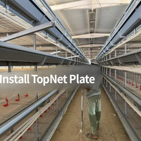 Cage à poulets automatique à plusieurs niveaux pour l'élevage intensif avec système d'abreuvement pour l'élevage de poulets à grande échelle