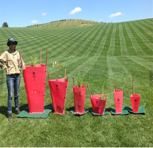 Protector de Árboles Plegable, Ecológico, de Polipropileno Resistente a los Rayos UV, de 1.5-6 mm de Grosor, Corte a Medida, Directo de Fábrica - Product Image 1