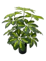 Bonsai Pothos Buatan Realistis 60cm: Tanaman Scindapsus Hijau Palsu Kecil dalam Pot untuk Dekorasi Meja Rumah Kantor