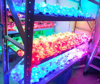 Fuente de Luz Puntual LED de 5cm, DC24V, 50mm, RGB SMD5050, IP65, Impermeable, de Alta Luminosidad