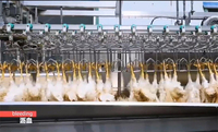 Équipement d'abattoir de volailles, machine d'abattage de poulets, équipement d'abattoir