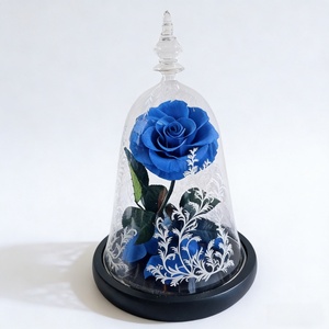 <span class=keywords><strong>Cloche</strong></span> en verre 18x30cm avec <span class=keywords><strong>rose</strong></span> éternelle gravée sous <span class=keywords><strong>cloche</strong></span> <span class=keywords><strong>et</strong></span> base noire, <span class=keywords><strong>rose</strong></span> rouge, cadeau pour <span class=keywords><strong>la</strong></span> Saint-Valentin, Noël - Product Image 2
