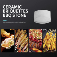 Ensemble d'accessoires pour barbecue de cuisine extérieure, barbecue à gaz, 50 pièces, briquettes en céramique cordierite, briques de remplacement pour atténuateur de flamme
