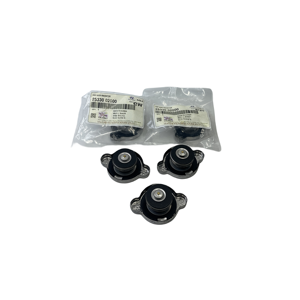 25330-1R000 Piezas automotrices al por mayor 253301R000 <span class=keywords><strong>Tapa</strong></span> de radiador adecuada para Modern K IA - Product Image 6