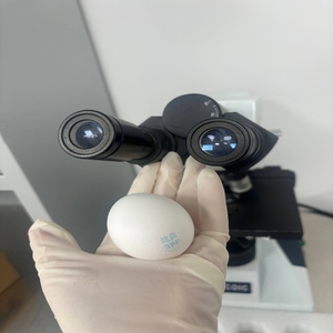 Độ tinh khiết cao SPF trứng gà mầm bệnh thử nghiệm tiêu cực OEM tùy chỉnh 30000 trứng công suất hàng tháng - Product Image 4