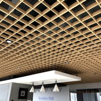 Grille de plafond en aluminium Plafond à cellules ouvertes Plafond à cellules ouvertes en aluminium