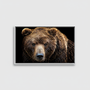Printed <b>Canvas</b> Wall Art: Brown Bear Animal Print, Farmhouse Decor,WHITE <b>FRAMED</b> <b>CANVAS</b> - Product Image 2