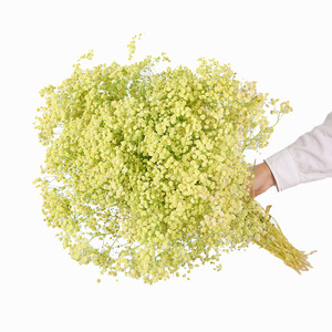 Vĩnh Cửu Gypsophila hoa khô bó hoa đường phố gian hàng tự làm vật liệu cho ngày của mẹ và quà tặng phục sinh bán buôn - Product Image 3