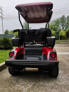 Carritos de <span class=keywords><strong>Golf</strong></span>/Buggy de Gasolina de 2 Plazas, Certificados por la EPA, en Oferta, <span class=keywords><strong>Precio</strong></span> Económico - Product Image 3