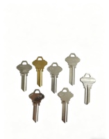 Fournitures professionnelles pour serruriers - Lot de 50 ébauches de clés vierges mixtes pour la pratique et la découpe de clés
