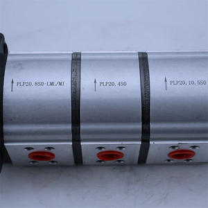 Bomba Hidráulica para Excavadora PLP10 PLP20 PLP20.20-31S1-LGE/GD/20.20-LGE/GD/20.20/LGE/GDD - Product Image 1