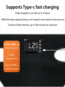 Thérapie par lumière rouge pour chevaux, appareil de physiothérapie infrarouge pour la tête du cheval avec 660nm-850nm, 155 LED, pour soulager la douleur et l'anxiété - Product Image 5