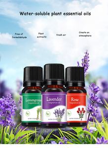 OEM-difusor de aceite esencial para aromaterapia, <span class=keywords><strong>humidificador</strong></span> de hierbas naturales de sándalo, menta, <span class=keywords><strong>lavanda</strong></span>, rosa, máquina dedicada - Product Image 3