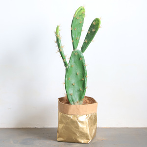 <span class=keywords><strong>Prix</strong></span> d'usine en gros, cactus artificiel réaliste en plastique, grand bonsaï, décoration de pot d'extérieur/d'intérieur, utilisation pour la maison, le jardin, Noël - Product Image 6