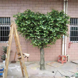 Tùy Chỉnh Kích Thước Nhân Tạo Hình Trái Tim Banyan Cây Maple Cây Trong Nhà Ngoài Trời Trung Tâm Mua Sắm Trang Trí Nội Thất Handmade <span class=keywords><strong>Bonsai</strong></span> Nhà Máy Cây Giả - Product Image 2