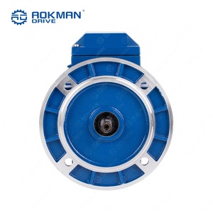 Moteur asynchrone triphasé AOKMAN, norme CEI, usage intensif, 20 kW, 50 Hz, efficacité IE3, IP54, 220 V/380 V, à entraînement par pied - Product Image 5