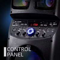TD0655 Bosinas Amplificada Équipement Sonore/Amplificateurs Grandes Enceintes Karaoké pour Fêtes DJ Extérieures avec 2 Micros sans Fil
