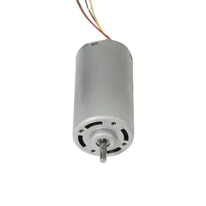 42mm 4000RPM 30W 40W 12V 24V Motor de CC sin escobillas de alto par BLDC para equipos comerciales