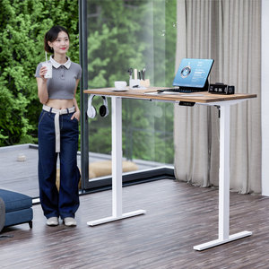 2025 <strong>New</strong> Modern Office Furniture Single Motor Sit Stand Desk Office Stand up Adjustable <strong>Table</strong> - Product Image 5