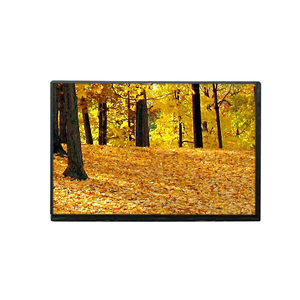 1280x800 IPS màn hình <span class=keywords><strong>LCD</strong></span> 10.1 ''lvds <span class=keywords><strong>LCD</strong></span> <span class=keywords><strong>40</strong></span> pin 10 <span class=keywords><strong>inch</strong></span> TFT hiển thị - Product Image 2