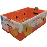 Boîtes d'emballage pliables en carton ondulé pour fruits et légumes, recyclables, en gros, pour mangues et cerises, avec gaufrage et couleur personnalisée pour l'expédition et la présentation