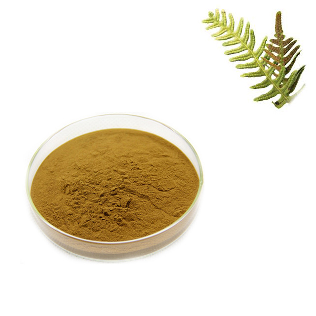 Hot Sale  Plant Root Extract Powder Polypodium Leucotomos Extract