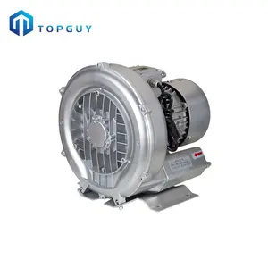 Wholesale Directly Swimming Pool Air Blower Single Stage Spa Air Blower for Residential Swimming Pool