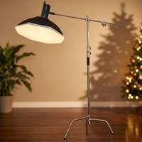 Lumière vidéo photographique LED COB 300W 2800-6800K CRI96+ avec télécommande, éclairage de studio pour l'enregistrement vidéo