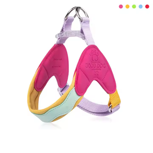 Nouveau harnais de poitrine <span class=keywords><strong>pour</strong></span> <span class=keywords><strong>chien</strong></span> personnalisé en gros, <span class=keywords><strong>selle</strong></span> de <span class=keywords><strong>chien</strong></span> colorée, laisse de <span class=keywords><strong>chien</strong></span> respirante <span class=keywords><strong>pour</strong></span> petit <span class=keywords><strong>chien</strong></span> - Product Image 2