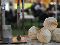 Couteau à ouvrir la noix de coco verte, ouvre-noix de coco manuel portable pour magasin de fruits, perceuse à trous pour coque de noix de coco
