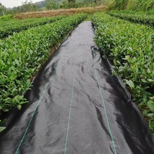 Malla Antihierbas de 1M*100M <span class=keywords><strong>2M</strong></span>*100M, Tela de Control de Malezas Agrícola, Malla Antihierbas No Tejida - Product Image 6