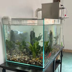 Sistema de Filtración para Estanques de Peces <span class=keywords><strong>Koi</strong></span> de 1000 l/h, Filtro Biológico para Acuarios, Cría de Peces <span class=keywords><strong>Guppy</strong></span> - Product Image 2