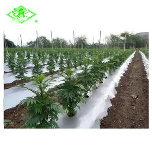 Película plástica de PE agrícola plateada y negra para mejorar la calidad y el rendimiento de las plantas en la granja