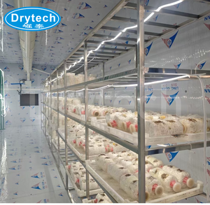 Cabina de Cultivo de Hongos - <span class=keywords><strong>Serie</strong></span> DT, Cabina Inteligente para Cultivo de Hongos Comestibles de Alta Eficiencia - Product Image 1