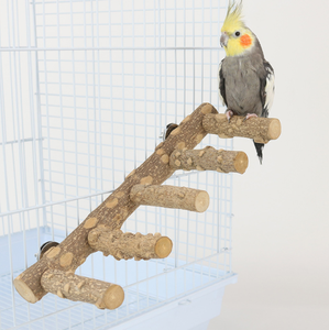 Fábrica al por mayor loro Natural espinoso Fresno escalera de madera pájaro accesorios de juguete loro escalera soporte de madera pájaro <span class=keywords><strong>Parro</strong></span> Juguetes - Product Image 1