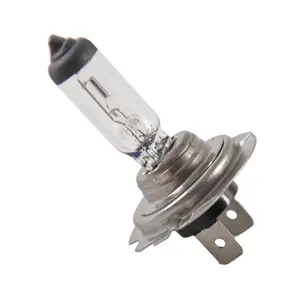 Wholesale Car Bulb Headlight Auto H7 12V55W Halogen Bulbs Suppliers