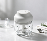 Hachoir Électrique Portable USB OEM 250ml en Acier Inoxydable, Mini Broyeur de Viande et Légumes Rechargeable pour Usage Domestique