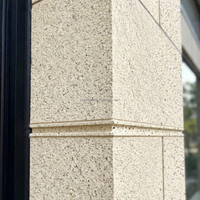 Peinture effet pierre Revêtement en granit pour façade de bâtiment Imperméable Décoratif