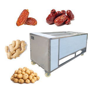 Macchina per il lavaggio di datteri secchi in acciaio inossidabile / Attrezzatura per la pulizia di datteri essiccati per la lavorazione di frutta e verdura - Product Image 1