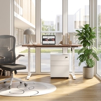 Cadre de bureau électrique moderne à moteur unique, fonction assis-debout, bureau électrique réglable en hauteur