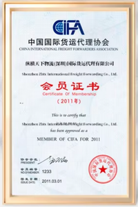 最便宜的货运代理物流服务运输代理中国到德国欧洲阿联酋墨西哥加拿大迪拜印度 - Product Image 3