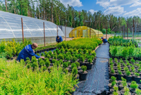 Couvre-sol tissé en plastique agricole pp tapis de contrôle des mauvaises herbes tissu barrière contre les mauvaises herbes telo pacciamatura tissu de paysage