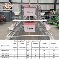 Système de convoyeur pour cages à poulets en batterie galvanisées de type A, équipement durable pour élevages avicoles, personnalisable