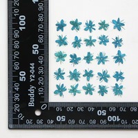 MNR2024 bunga padat kering alami DIY campuran bunga kering kering Resin perhiasan seni